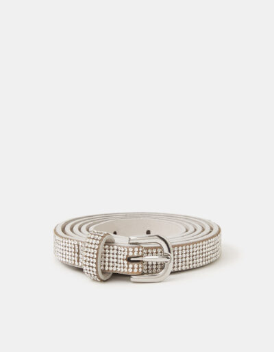 Sparkly Silver Belt