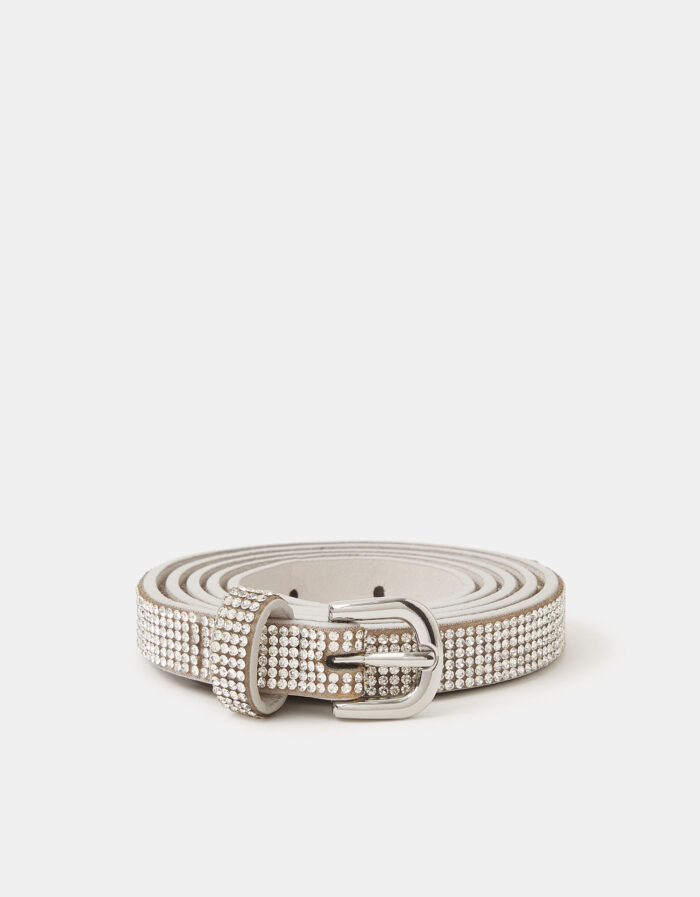 a5 Sparkly Silver Belt